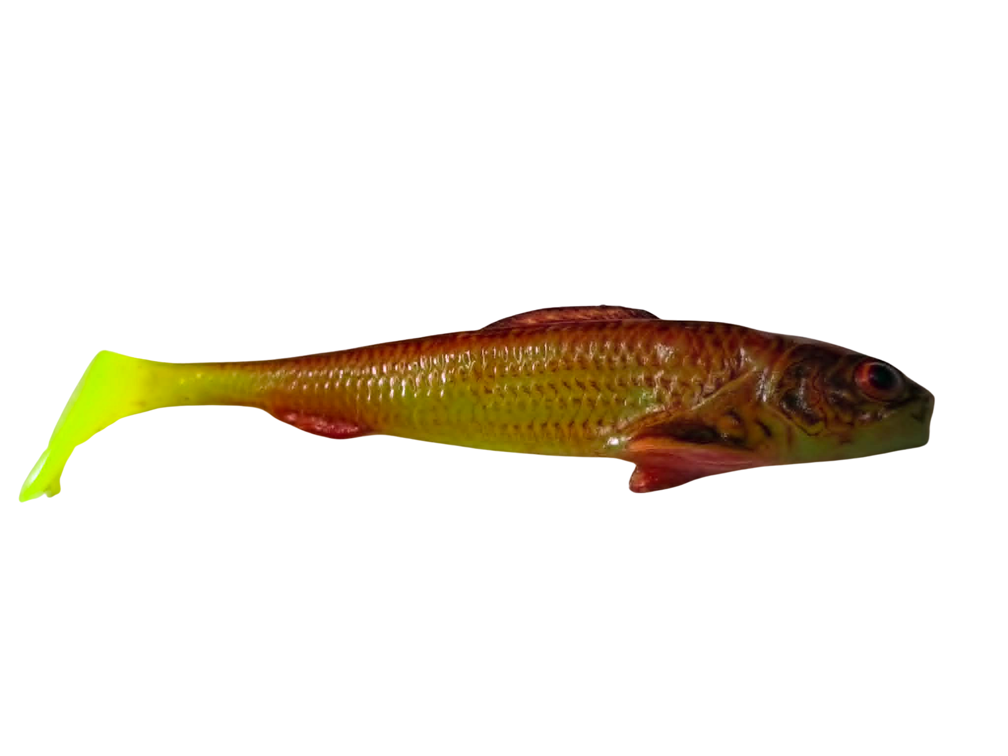 sardyna-chicken.png